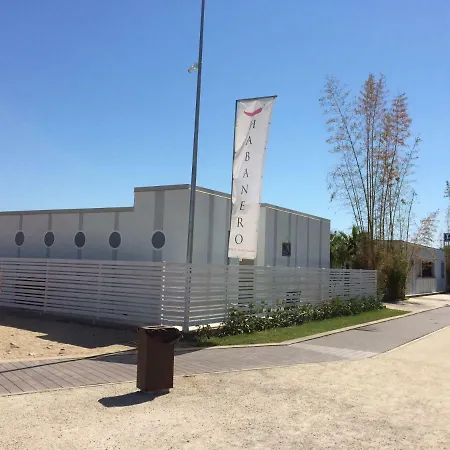Bed & Breakfast L'uliveto