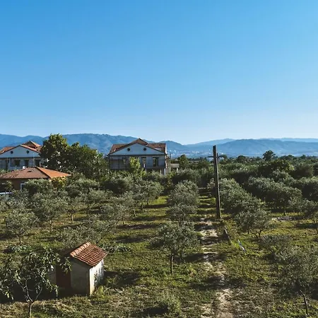 Bed & Breakfast L'uliveto Marina di Schiavonea