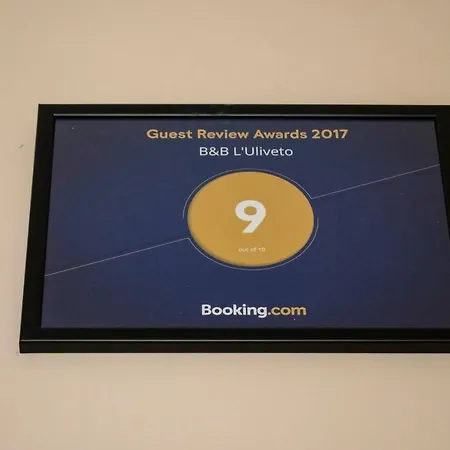 فندق مبيت وإفطار L'uliveto 4*