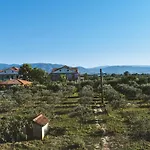Bed and Breakfast L'uliveto Marina di Schiavonea