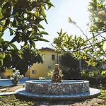 L'uliveto Bed and Breakfast Marina di Schiavonea