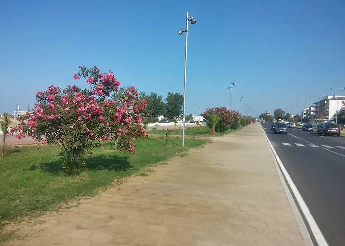 L'uliveto Alojamento de Acomodação e Pequeno-almoço