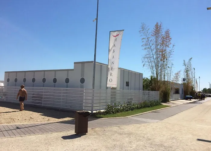 Alojamento de Acomodação e Pequeno-almoço L'uliveto