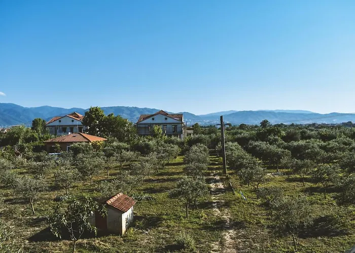 Alojamento de Acomodação e Pequeno-almoço L'uliveto Marina di Schiavonea
