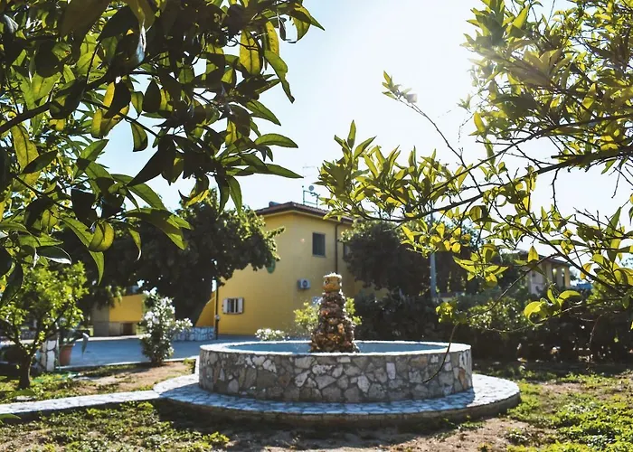 L'uliveto 住宿加早餐酒店 马里纳斯基亚沃尼亚