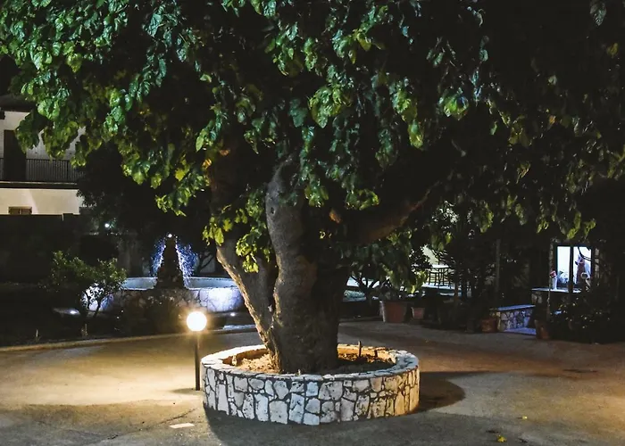 Alojamento de Acomodação e Pequeno-almoço L'uliveto